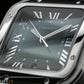 Cartier Santos Large Smoky Green Ombre Stainless Steel Watch WSSA0062 Complete Set